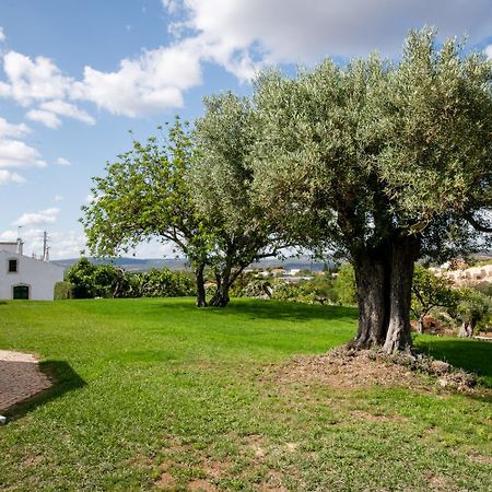 Cerca Velha - Country House Албуфейра Экстерьер фото
